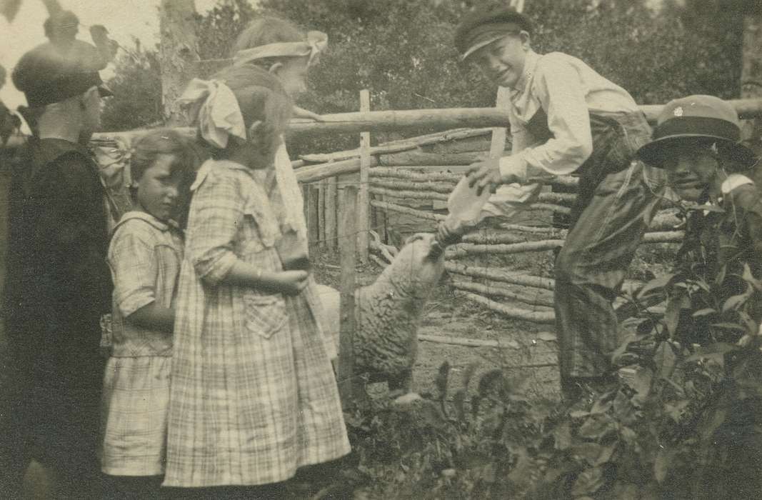 correct date needed, Iowa, Animals, Children, lamb, sheep, Fredericks, Robert, Farms, Dubuque, IA, history of Iowa, Iowa History