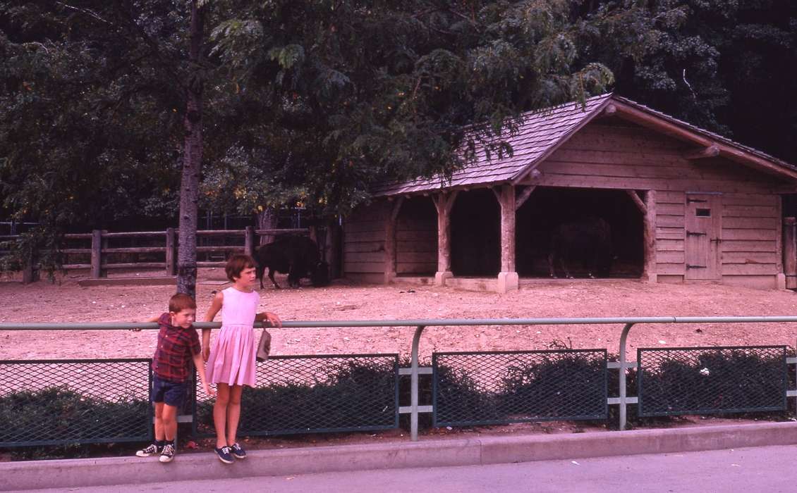 Animals, Iowa History, Iowa, Zischke, Ward, USA, Travel, zoo, Children, history of Iowa