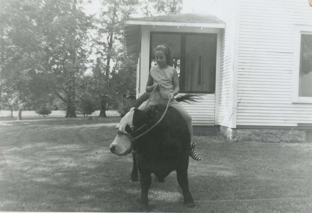 yard, history of Iowa, Iowa History, Animals, bull, Iowa, Mountain, Carole, Waterloo, IA, Children, Farms