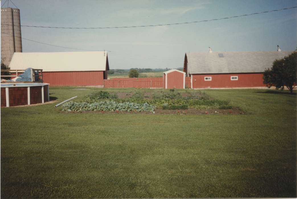 history of Iowa, Iowa History, Harken, Nichole, Barns, garden, swimming pool, Iowa, Farms, Coggon, IA, pool