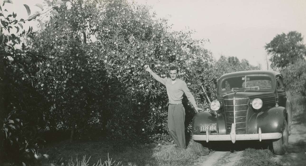 Motorized Vehicles, Iowa History, sweater, Leisure, fruit, trousers, Iowa, history of Iowa, Wilson, Dorothy, Portraits - Individual, car, license plate, headlight, IL, tree