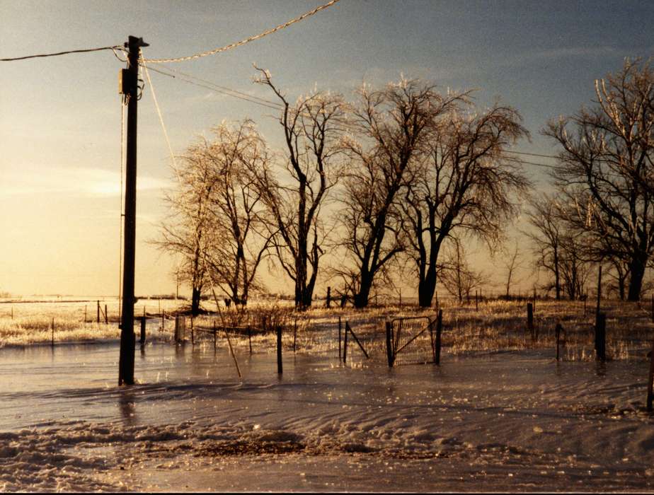telephone pole, history of Iowa, Iowa History, Winter, Knivsland, Rick, Iowa, tree, Strawberry Point, IA, ice