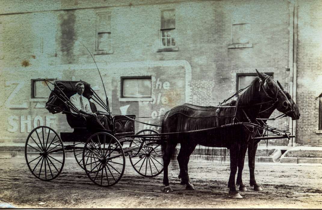 Animals, Iowa History, Iowa, Anamosa Library & Learning Center, Anamosa, IA, horse, history of Iowa, Main Streets & Town Squares, buggy