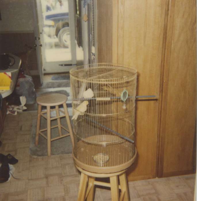 Iowa, Patterson, Donna and Julie, Evansdale, IA, Animals, bird, bird cage, Homes, history of Iowa, door, stool, Iowa History