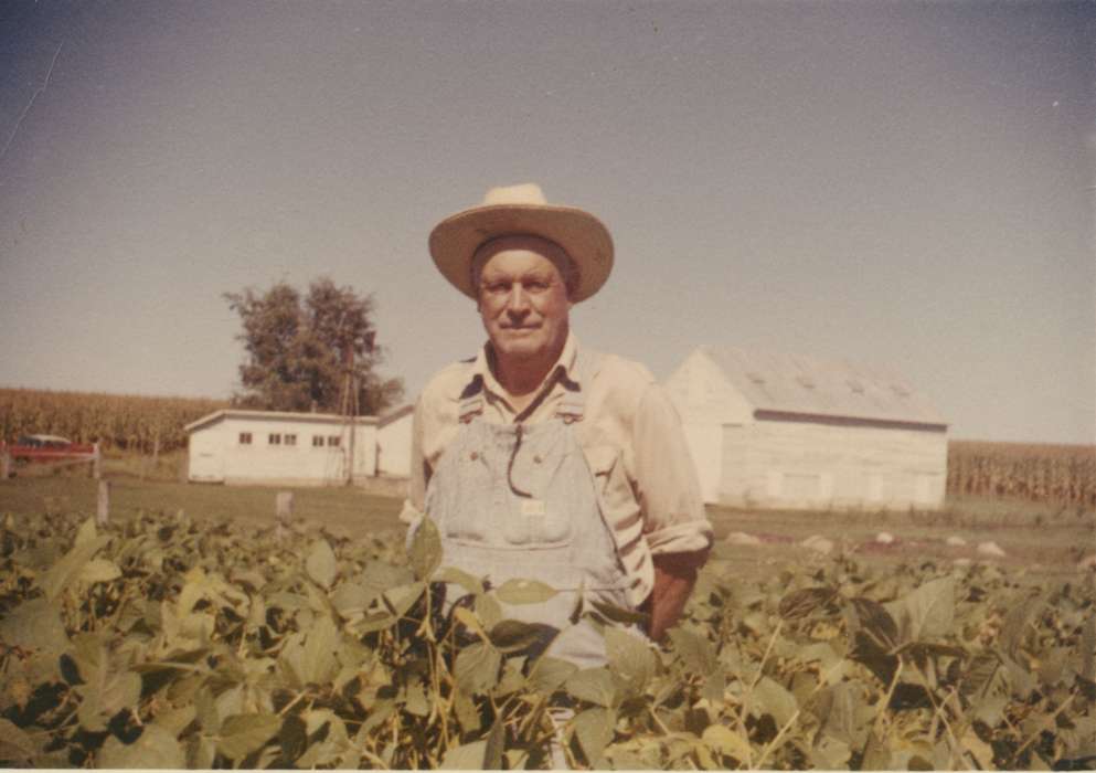 Yezek, Jody, St. Ansgar, IA, Iowa History, Iowa, field, crops, soybean, Farms, farmer, Barns, history of Iowa