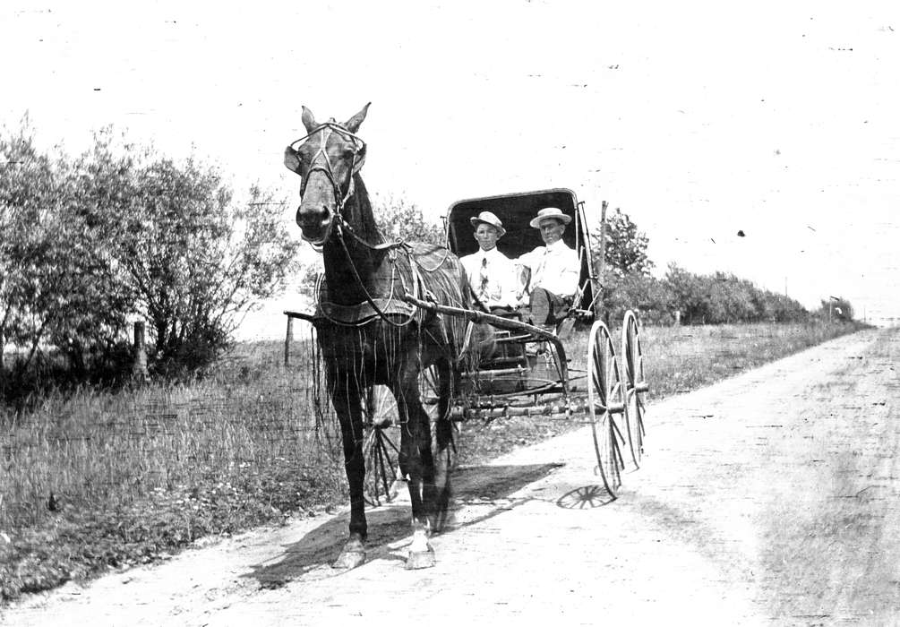 history of Iowa, Iowa History, road, horse and buggy, Animals, Iowa, Scherrman, Pearl, horse, Farley, IA