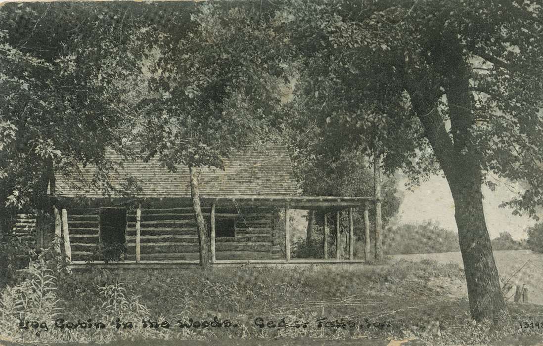 Landscapes, Iowa, Iowa History, Palczewski, Catherine, history of Iowa, Cedar Falls, IA, woods, log cabin, tree