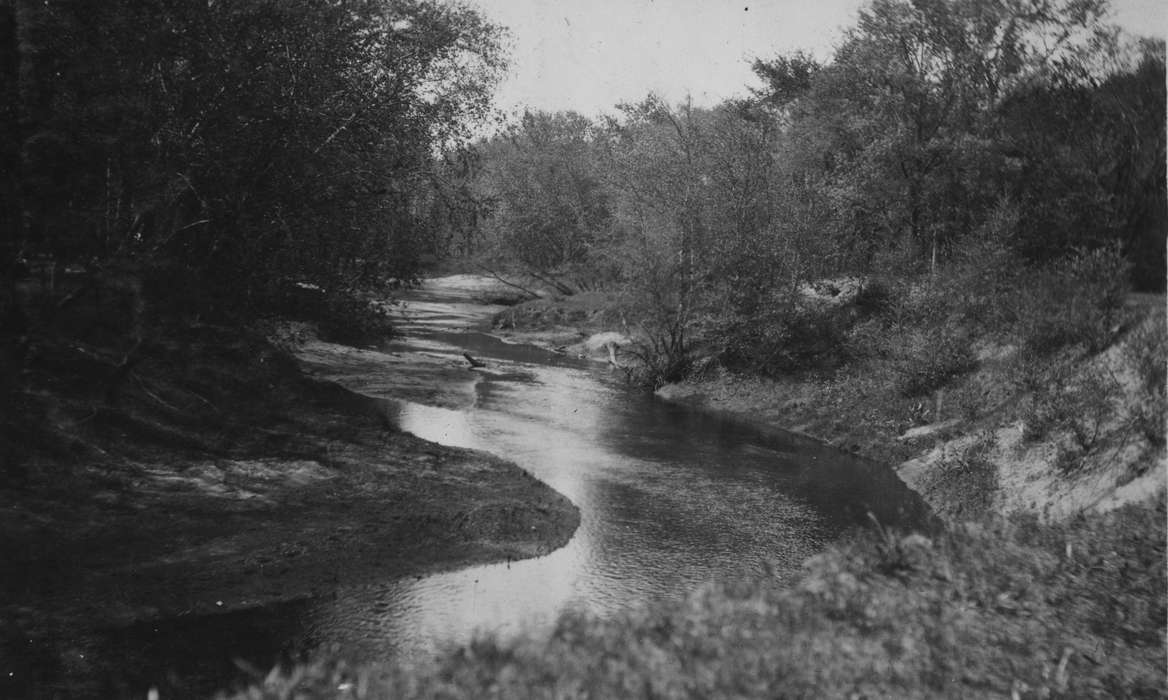 forest, nature, history of Iowa, Iowa History, IA, Lakes, Rivers, and Streams, stream, Iowa, King, Tom and Kay, Landscapes