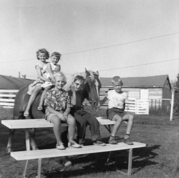 picnic basket, Shaw, Marilyn, Iowa, Animals, shed, horse, Children, Dyersville, IA, Farms, history of Iowa, picnic table, Iowa History