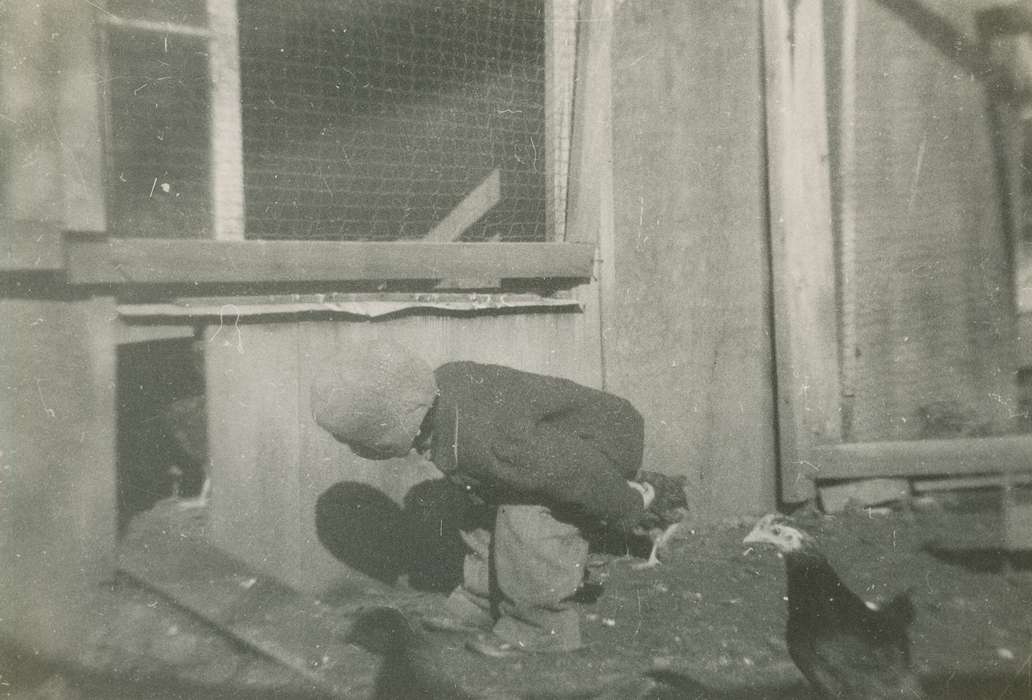 history of Iowa, chicken, Iowa History, Minburn, IA, Animals, child, Iowa, Farms, Children, Hawbaker, Nadine