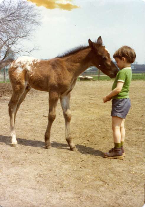 history of Iowa, foal, Iowa History, Animals, Iowa, boy, Olsson, Ann and Jons, Waterloo, IA, horse, Children