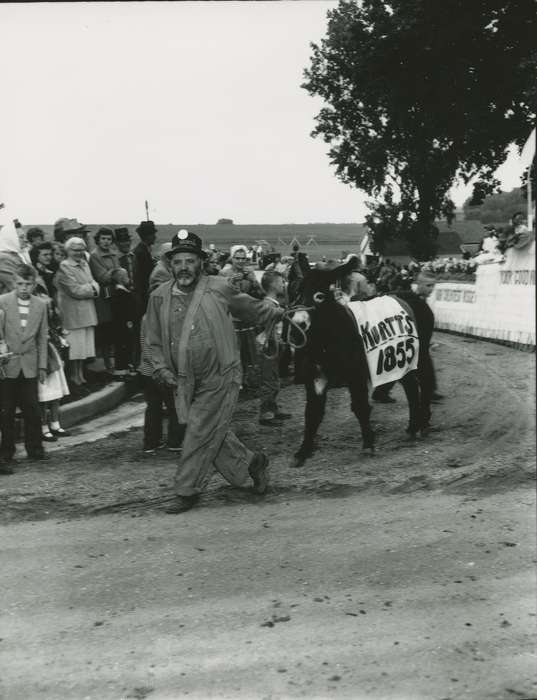 history of Iowa, Iowa History, Entertainment, Animals, crowd, donkey, parade float, costume, Iowa, Children, Waverly Public Library, Portraits - Individual
