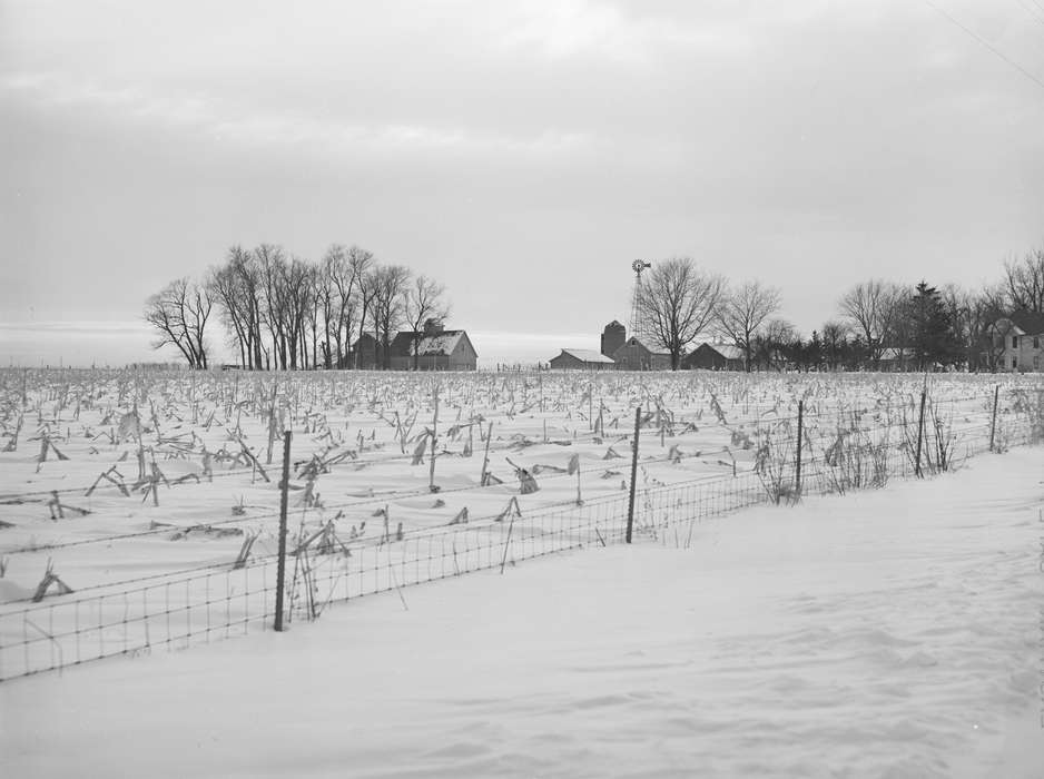 cornstalk, Library of Congress, Barns, Iowa, Landscapes, tree, woven wire fence, Winter, shed, homestead, Homes, history of Iowa, snow, farmhouse, silo, barbed wire fence, windmill, cornfield, Iowa History