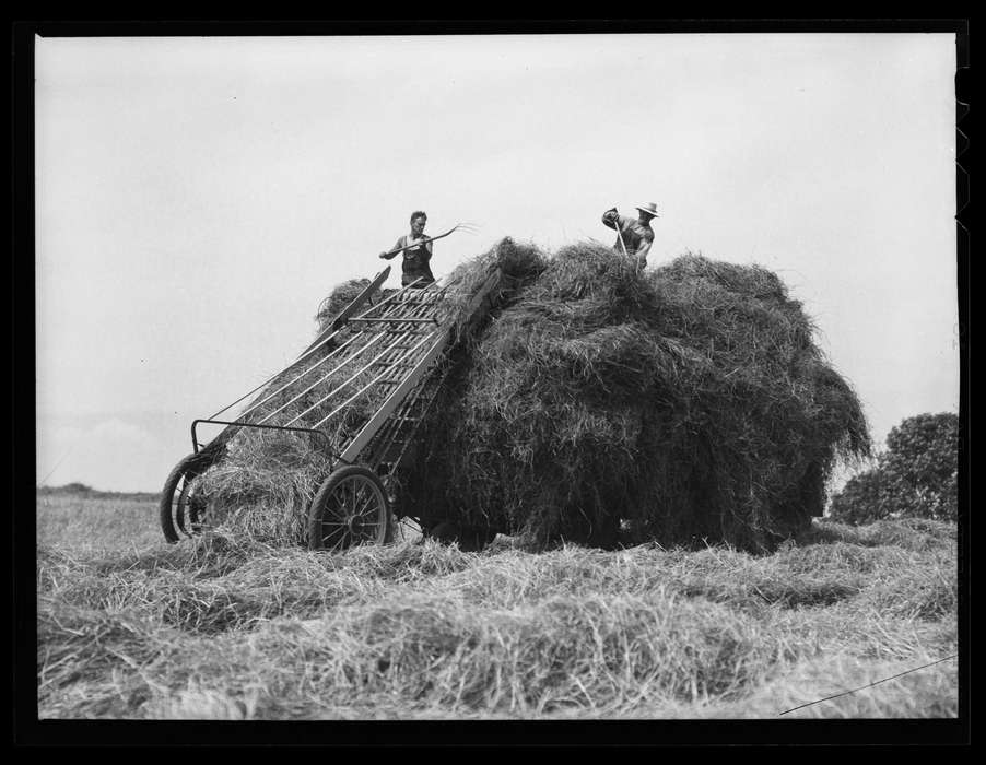 history of Iowa, Iowa History, Archives & Special Collections, University of Connecticut Library, Iowa, CT