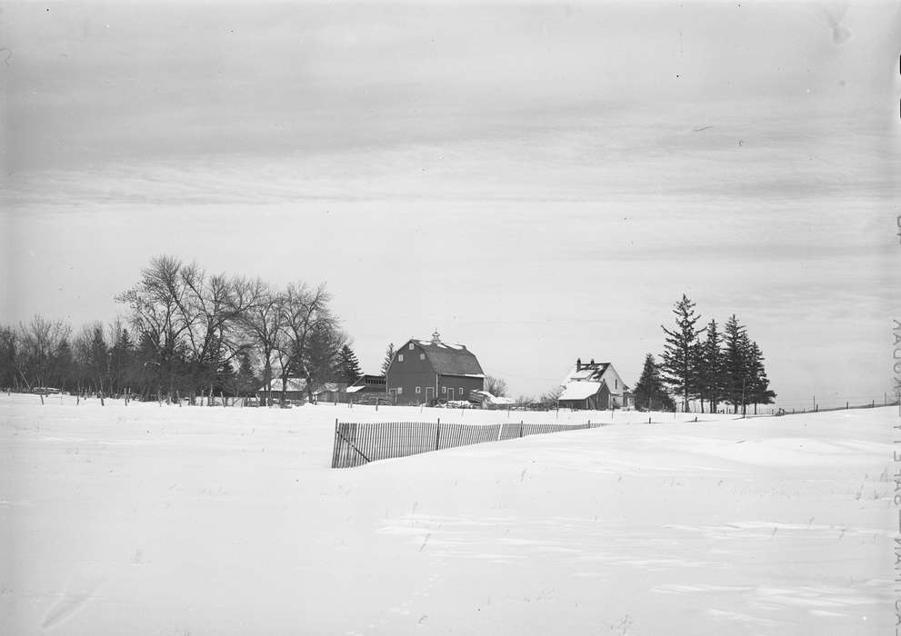 Library of Congress, field, snow fence, history of Iowa, Landscapes, Homes, Iowa, farmhouse, Barns, Winter, Iowa History, Farms, homestead, tree, shed