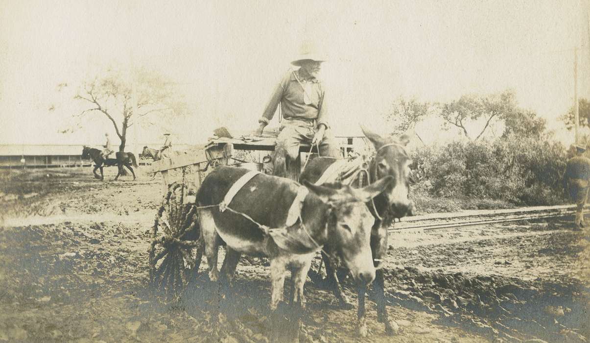 IA, mule, history of Iowa, Farms, Animals, Iowa, horse, Iowa History, wagon, LeQuatte, Sue, Farming Equipment