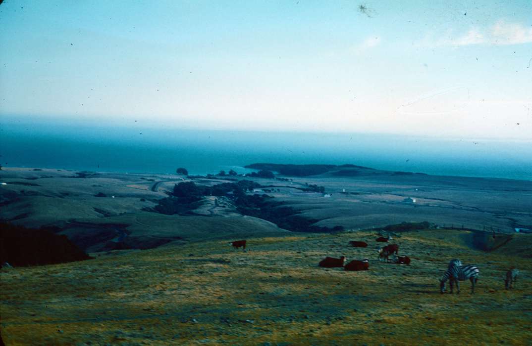 Travel, history of Iowa, Animals, Iowa, zebra, Harken, Nichole, Iowa History, Landscapes