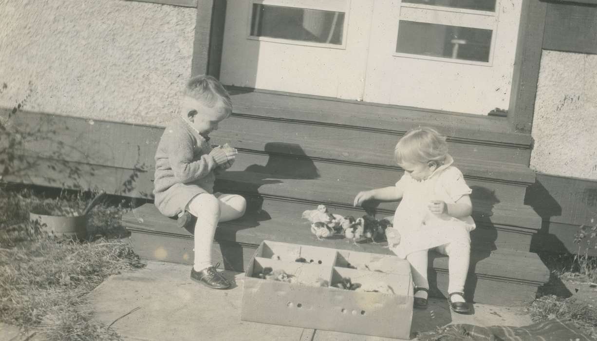 chicks, history of Iowa, Iowa History, Webster City, IA, Animals, Iowa, McMurray, Doug, Children