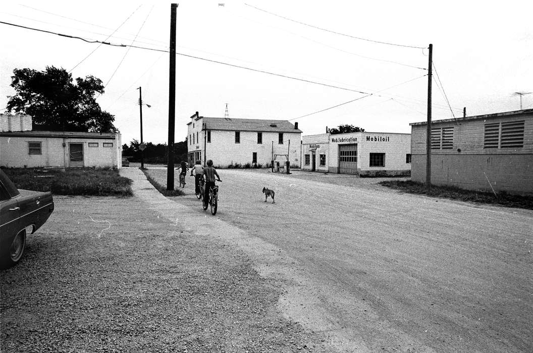 history of Iowa, Iowa History, Lemberger, LeAnn, bicycle, Animals, car, Melrose, IA, houses, Iowa, Cities and Towns, Homes, Children, dog