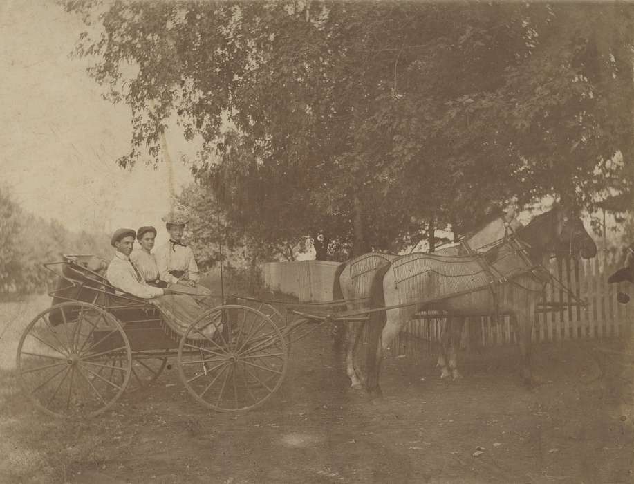 history of Iowa, Iowa History, buggy, horse and buggy, Animals, Neymeyer, Robert, group, Iowa, carriage, horse, Leisure