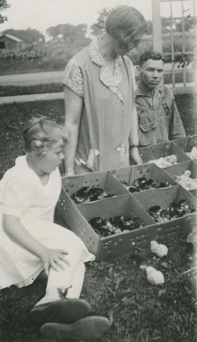 Animals, Iowa History, Iowa, hatchery, Labor and Occupations, McMurray, Doug, chick, Webster City, IA, Children, history of Iowa