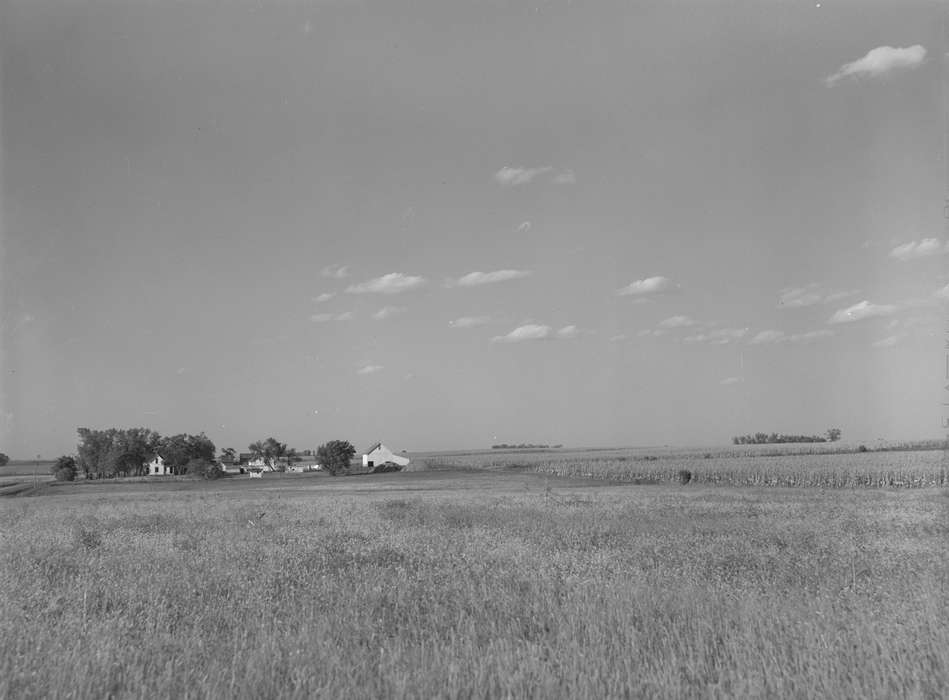 Homes, history of Iowa, Iowa History, Library of Congress, hay mound, barn, Barns, farmhouse, homestead, fields, trees, sheds, Iowa, Landscapes, Farms, cornfield