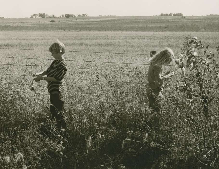 history of Iowa, Iowa History, field, Hawbaker, Nadine, Rural Minburn, IA , close to Perry, IA, milkweed, Iowa, fence, Children, Leisure