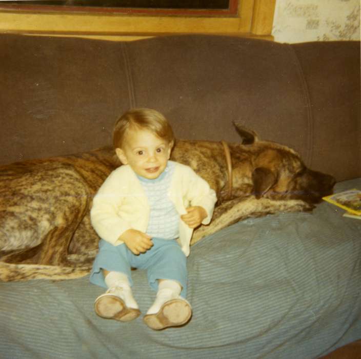 history of Iowa, Iowa History, Animals, pet, great dane, family, boy, Olsson, Ann and Jons, Waterloo, IA, Iowa, Children, dog