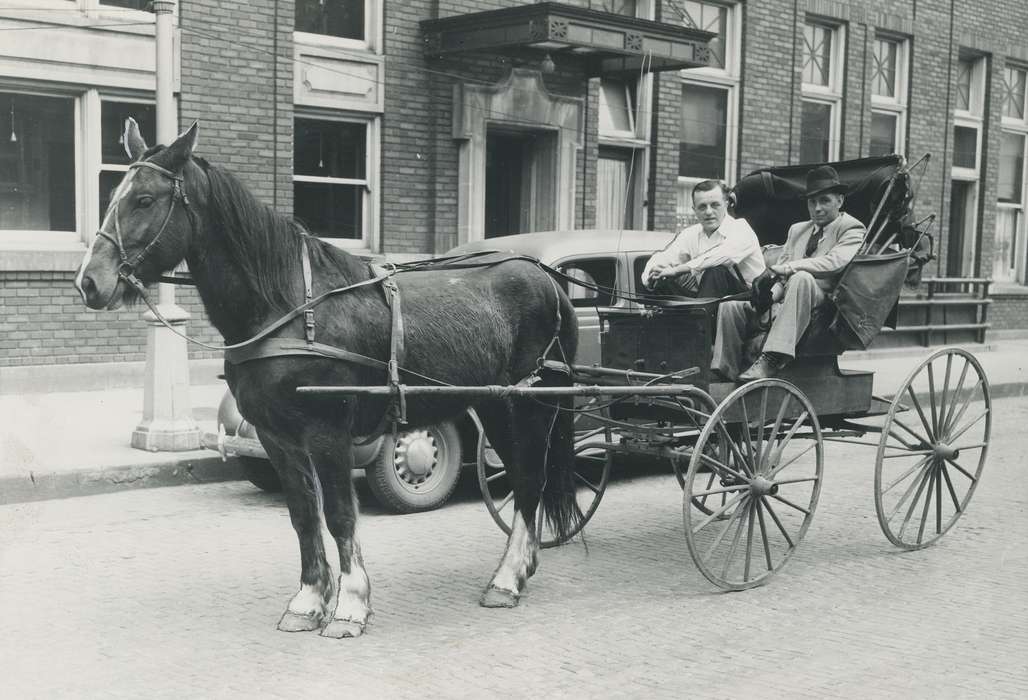 history of Iowa, Portraits - Group, Waverly Public Library, Waverly, IA, Main Streets & Town Squares, Iowa, Iowa History, horse and buggy, Cities and Towns, men, Animals