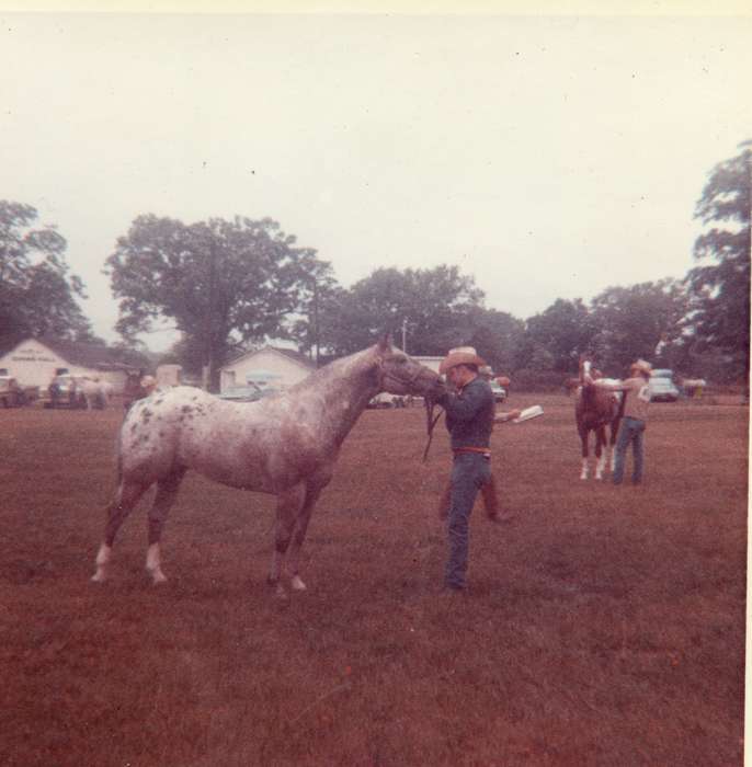 horse show, Iowa, Animals, Webster City, IA, animals, Olsson, Ann and Jons, horses, Sports, history of Iowa, Iowa History