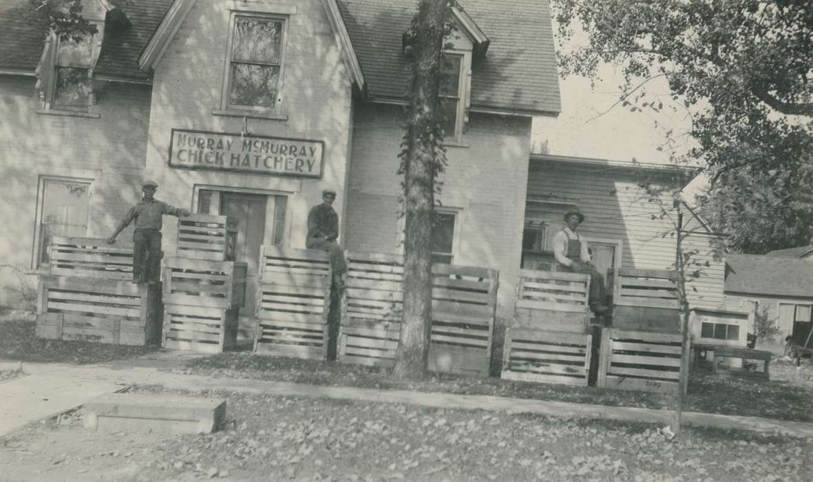 Portraits - Group, Iowa, crate, Webster City, IA, Businesses and Factories, McMurray, Doug, hatchery, Labor and Occupations, history of Iowa, Iowa History