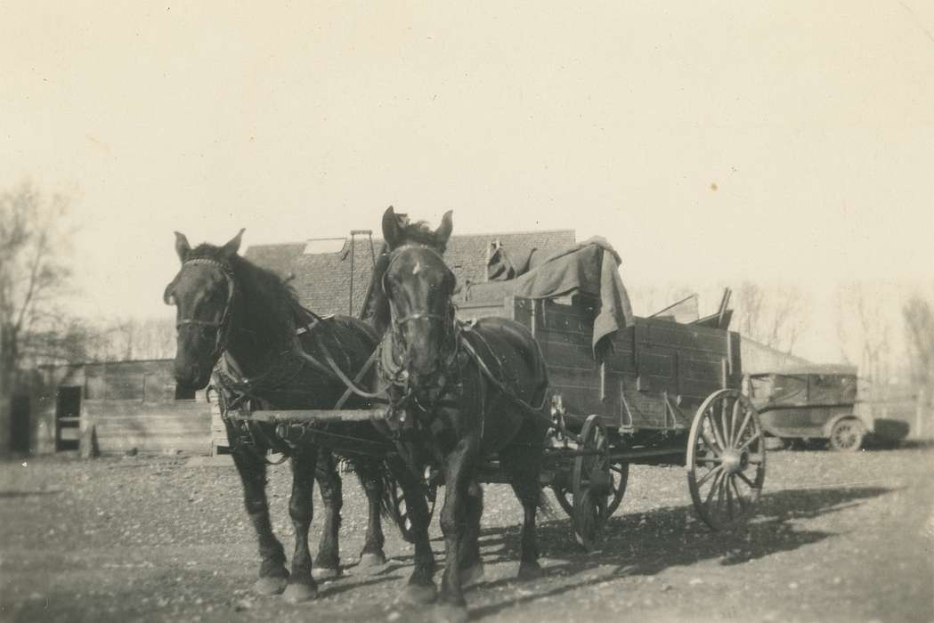 history of Iowa, Iowa History, horse and buggy, Animals, Waverly, IA, wooden fence, Iowa, Landscapes, Farms, horse, Waverly Public Library