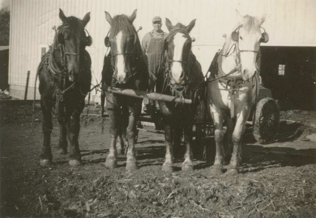 Farming Equipment, history of Iowa, Portraits - Individual, Mortenson, Jill, Iowa History, Macey, IA, Barns, Animals, Iowa, Farms, horse, Labor and Occupations