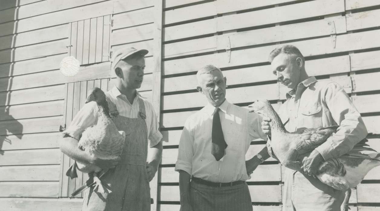 Portraits - Group, history of Iowa, Iowa History, Webster City, IA, Businesses and Factories, Animals, geese, tie, Iowa, McMurray, Doug, overalls