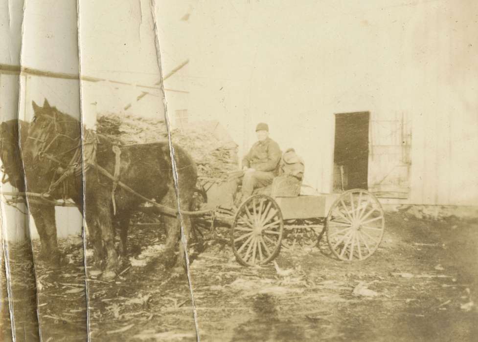 Iowa, Animals, Mortenson, Jill, horse, horses, Ackley, IA, Farms, history of Iowa, Iowa History, wagon