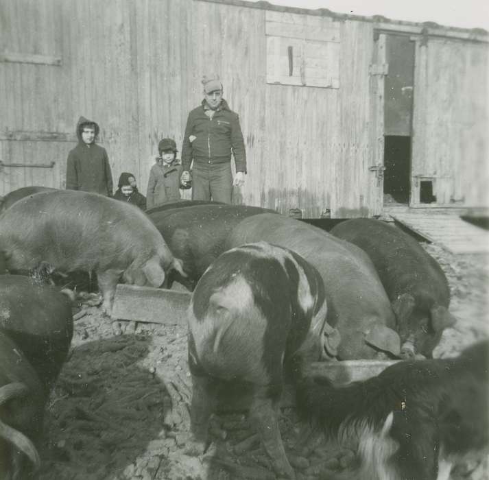 Portraits - Group, Spechts Ferry, IA, Iowa History, history of Iowa, pigs, Barns, Animals, hogs, Iowa, Children, Fredericks, Robert