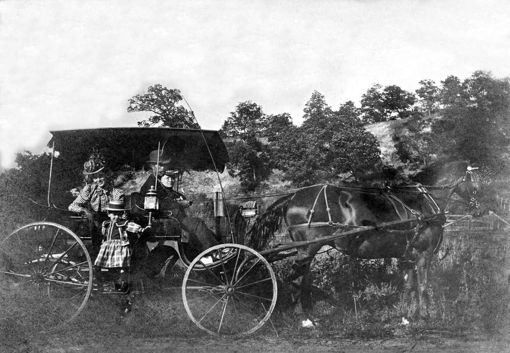 Portraits - Group, history of Iowa, Iowa History, Ottumwa, IA, Families, horse and buggy, Animals, Iowa, Lemberger, LeAnn, dress, Children, hat