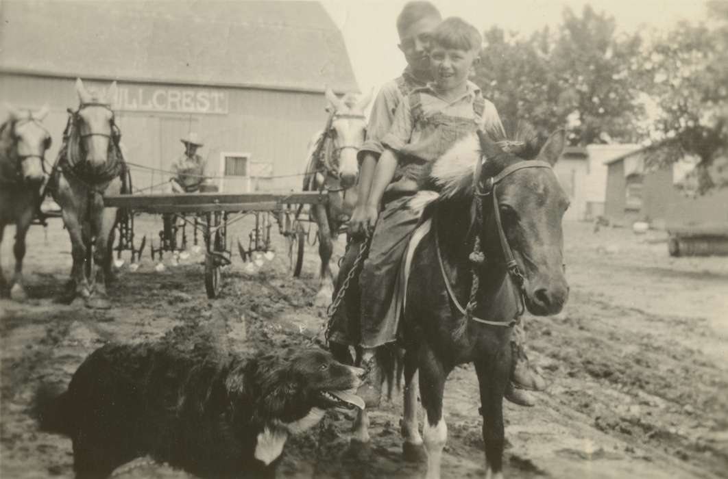 Portraits - Group, Farming Equipment, history of Iowa, Iowa History, Mortenson, Jill, Macey, IA, Barns, Animals, plow, Iowa, Farms, horses, horse, Children