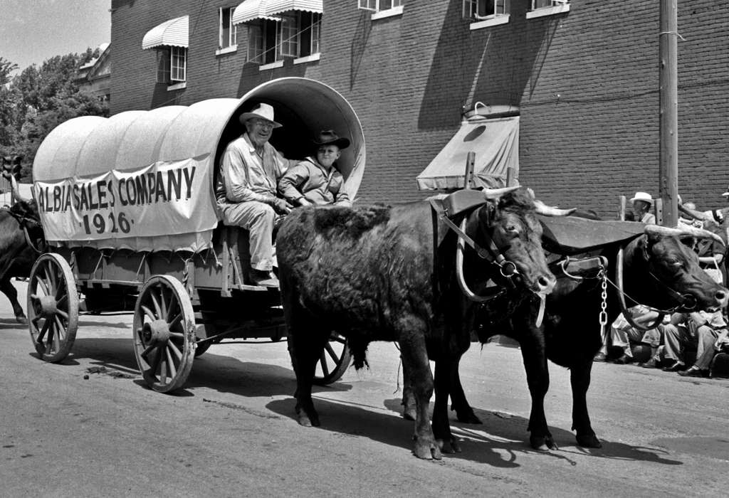 banner, Iowa, parade, Animals, cowboy hat, Albia, IA, Entertainment, Lemberger, LeAnn, history of Iowa, bull, Iowa History, wagon