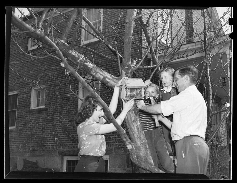 history of Iowa, Iowa History, birdhouse, Storrs, CT, Archives & Special Collections, University of Connecticut Library, tree, Iowa, house