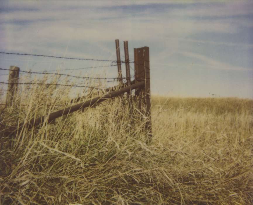 Hardin County, IA, barb wire, Iowa History, Iowa, Farms, Cook, Mavis, fence, history of Iowa