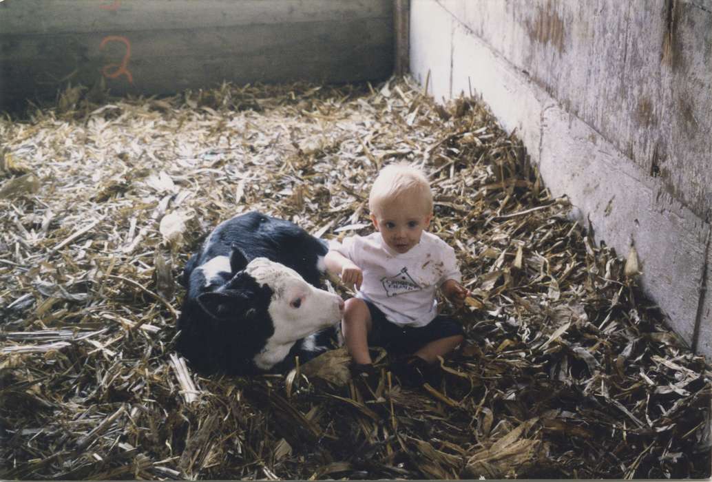 holstein, history of Iowa, Iowa History, calf, Barns, Animals, Burke, Alex, Iowa, Lawler, IA, Farms, Children, baby, Portraits - Individual