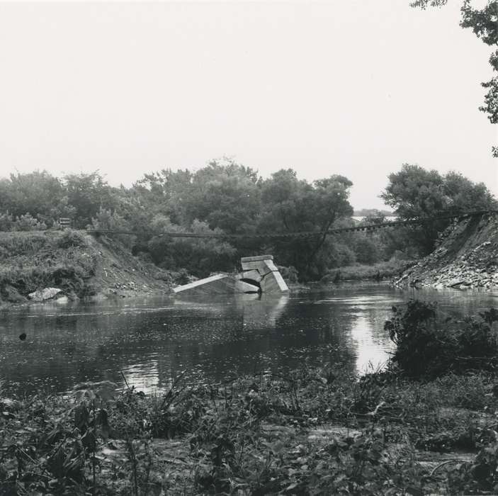 Floods, bridge, Iowa History, history of Iowa, Lakes, Rivers, and Streams, Waverly, IA, flood aftermath, Iowa, Landscapes, tree, Waverly Public Library