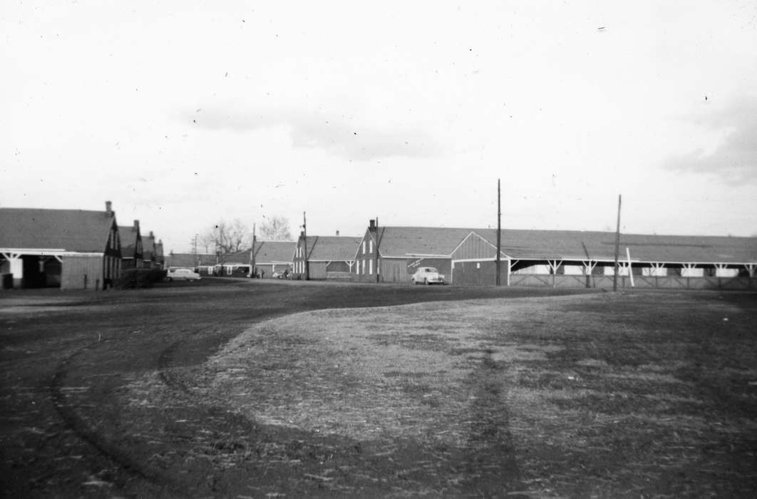 Military and Veterans, history of Iowa, Iowa History, Louisville, KY, field, Iowa, stable, Karns, Mike