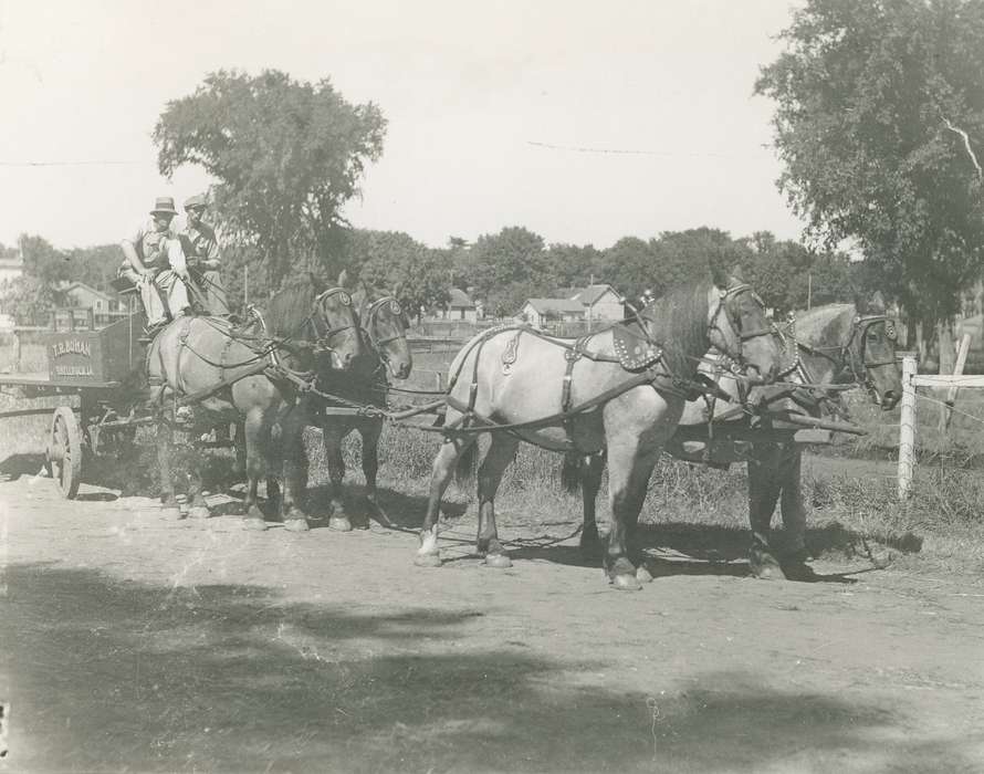 men, history of Iowa, Iowa History, Entertainment, parade, horse and buggy, Animals, Waverly, IA, Fairs and Festivals, Iowa, Waverly Public Library