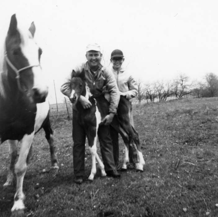 Portraits - Group, Animals, Murray, IA, Iowa History, Iowa, foal, horse, Schrodt, Evelyn, Farms, history of Iowa