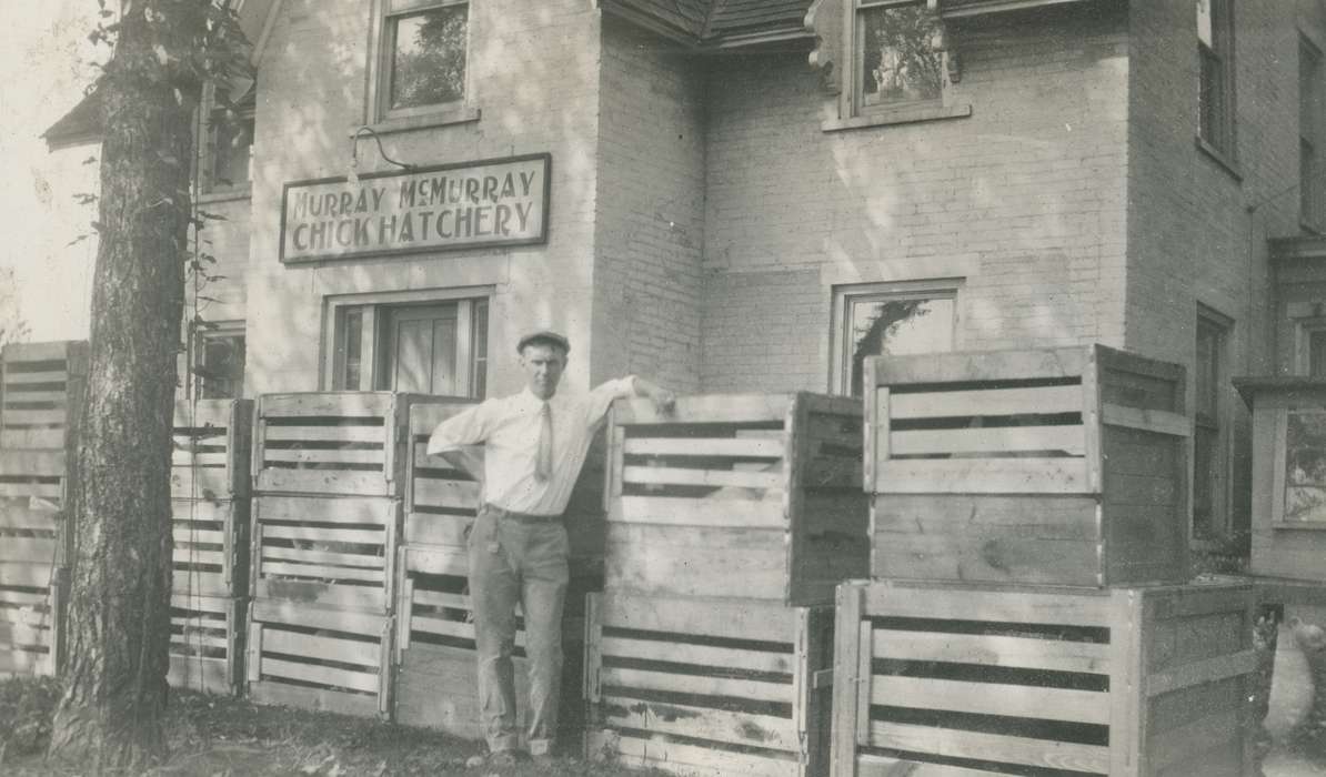 crate, hatchery, history of Iowa, McMurray, Doug, Iowa, Portraits - Individual, Labor and Occupations, Businesses and Factories, Webster City, IA, Iowa History