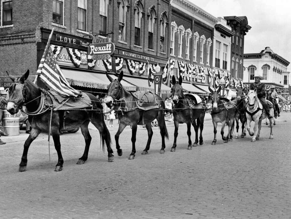 Animals, storefront, Iowa History, Iowa, Lemberger, LeAnn, horse, flag, parade, Entertainment, Albia, IA, mule, Main Streets & Town Squares, mainstreet, Fairs and Festivals, history of Iowa, sign