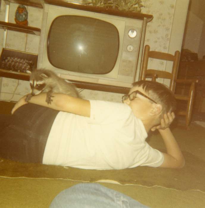 boy, IA, Iowa, tv, raccoon, Animals, Leisure, Children, Schrodt, Evelyn, history of Iowa, Iowa History, television