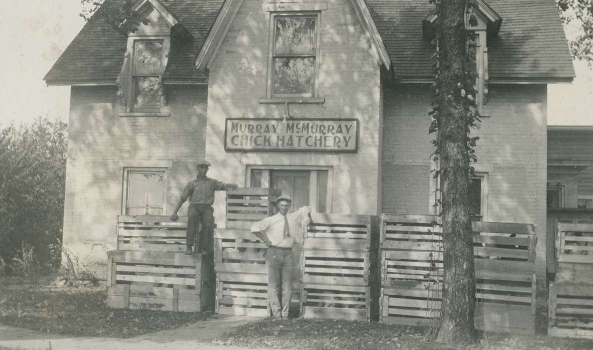 Portraits - Group, history of Iowa, hatchery, Iowa History, Webster City, IA, Businesses and Factories, crate, Iowa, McMurray, Doug, Labor and Occupations